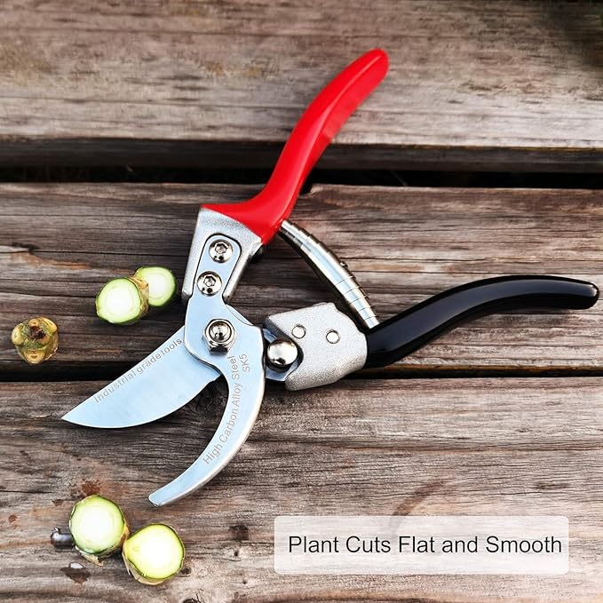 TONMA Pruning Shears [Made in Japan] Professional 8 Inch Premium Plant Garden Scissors Secateurs with Ergonomic Handle, Gardening Gifts Bypass Hand Pruners Branch Gardening Clippers for Plants