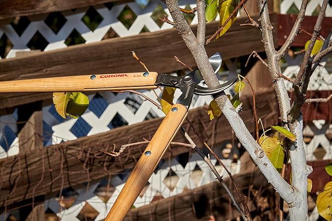 Corona Tools 26″ Bypass Loppers – Heavy-Duty Branch Cutter for Trees, Shrubs & Landscaping