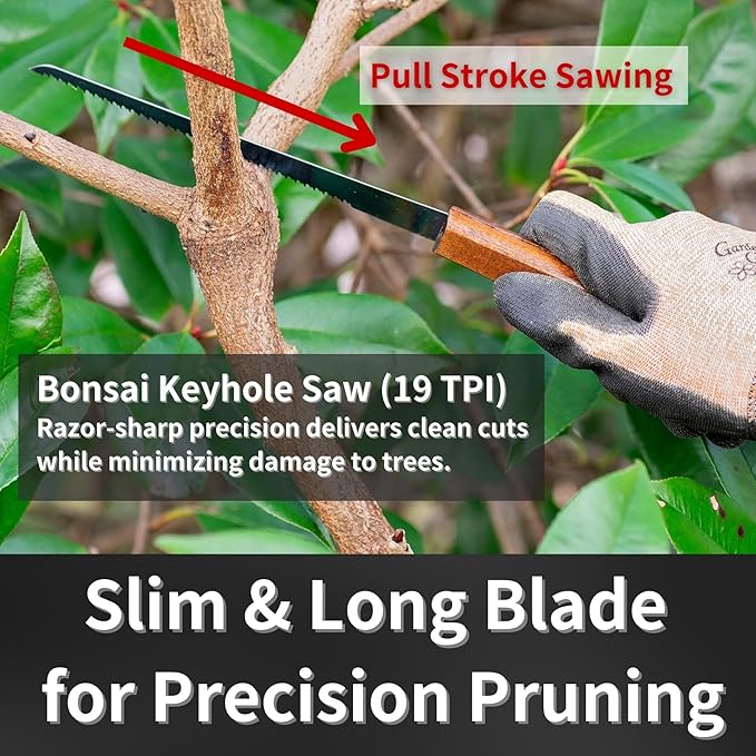 Bonsai Keyhole Saw 4-3/4" Made in JAPAN, Japanese Pruning Saw, Japanese Steel Blade, Wood Handle