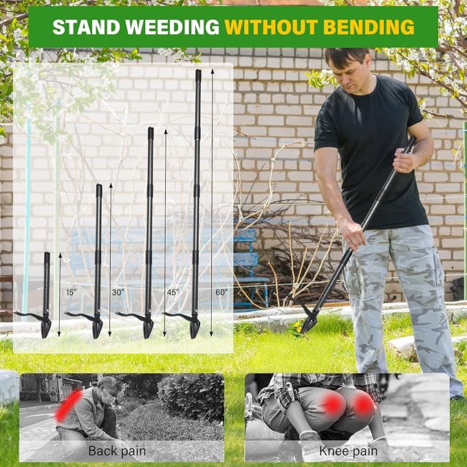 Weed Puller Tool, 4 Claw Stand Up Manual Weeder, Heavy Duty Weeding Tool with 60 inch Long Handle,Steel Head,Uprooting Dandelion Removal Gardening Tools for Farm Lawn Grass Removal