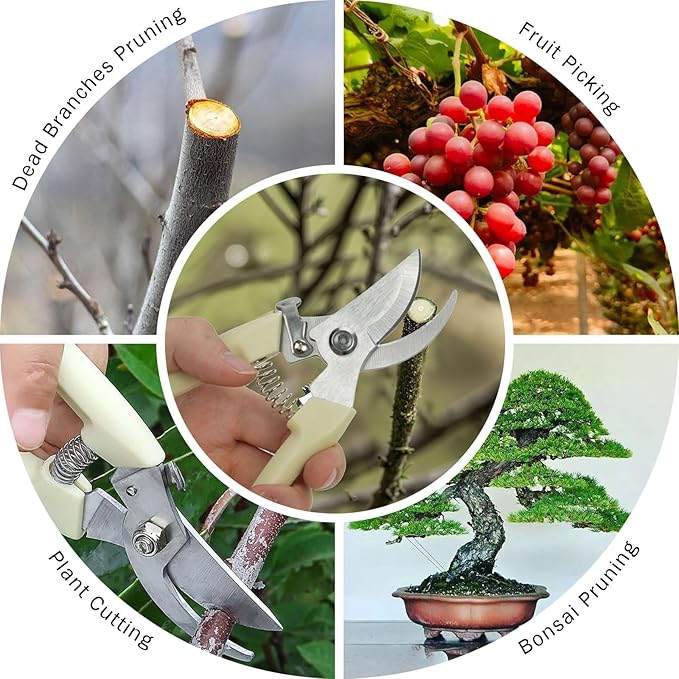 Professional Pruning Shears,Premium Garden Scissors, Stainless Steel Blade Garden Shears,Perfect for Trimming Flowers, Shaping Plants, Bonsai,Hydroponics,Herbs