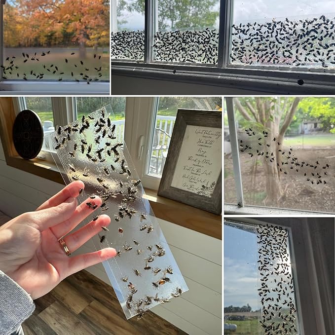 50 Pack Window Fly Traps Sticky Non-Toxic Clear Fly Paper Indoor for Home. No Mess Flies Window Sticky Traps Bug Flies Strips Indoors