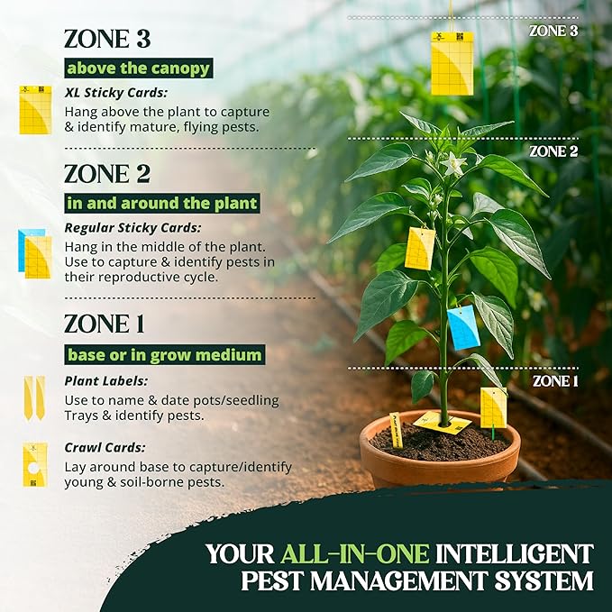 Catchmaster GRO Yellow Large Double Sided Sticky Traps 50PK, Adhesive Bug & Fruit Fly Trap, Pest Control for Home, Farm, Garden, Hydroponics & Greenhouse, Protect Live Plants Indoor & Outdoor