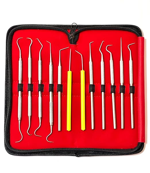 Premium Set of 12 Stainless Steel Precision Micro Probe Set Combo-Straight, Single, Short Double, Long Double, Triple and Hook Tips -Pick Tool Set 5.5"(14CM) (Set of 5 Each)