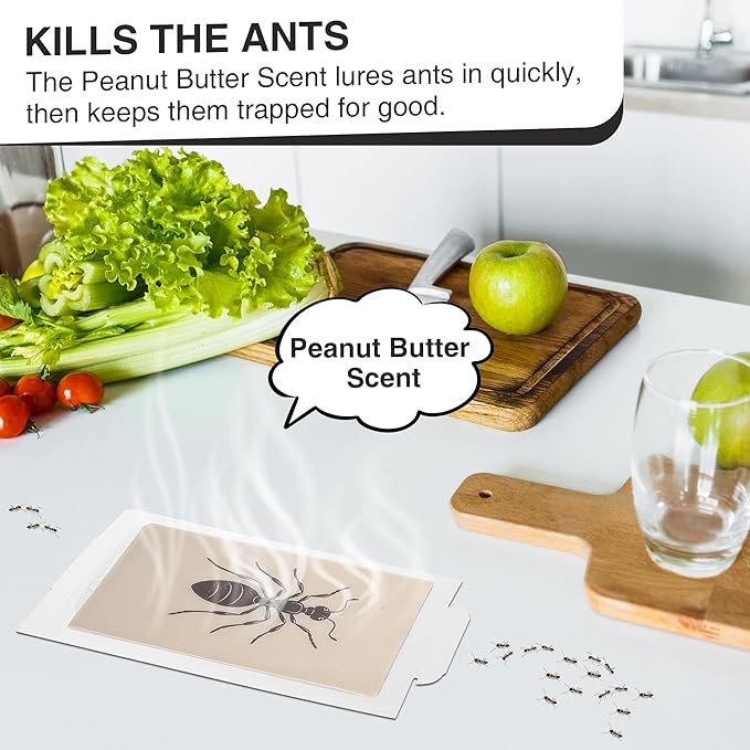 Qualirey Ant Traps Indoor, Upgraded Peanut Butter Scented, Larger 10pcs Ant Spider Cockroach Centipede and Crawling Insect Trap, Pet Safe Insect Traps for Home, Kitchen, Garage