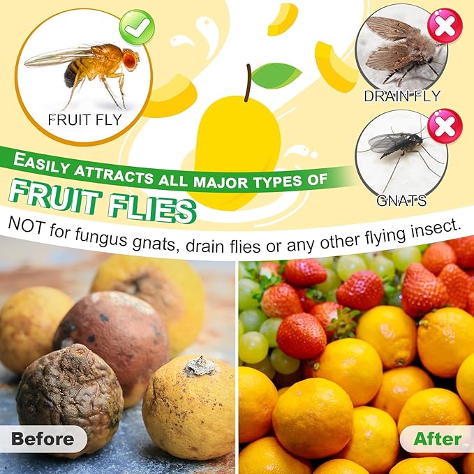 Qualirey 6 Pack Fruit Fly Trap Refill Liquid, 0.68oz Per Bottle Liquid Fruit Fly Traps for Indoors, Non Toxic Bait Safe Near Pets, Food and Kids, Lure Refill for Home Kitchen