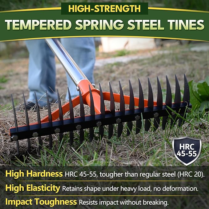 Thatch Rake for Lawns 18 Sharp Tempered Spring Steel Tines Dethatcher Rake Heavy Duty Dethatching Rakes with 62.5" Adjustable Stainless Steel Handle for Lawn Care，Dead Grass, Garden, Yard