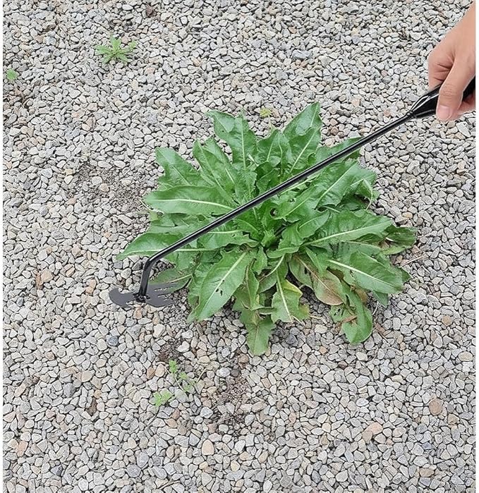 2-Pack Weed Puller Tool, 16-Inch Long Handle with 4 Prongs, Manual Weeder for Garden and Yard Work