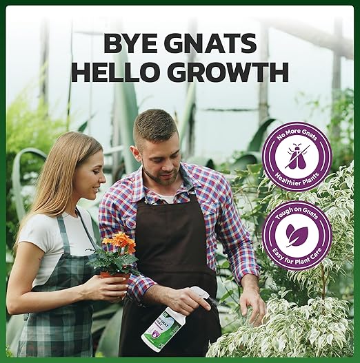 Eco Defense Gnat Spray for Indoor Plants – Fungus Gnat Killer & Houseplant Insect Control – Plant-Based Bug Spray for Houseplants & Indoor Gardening