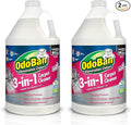 OdoBan 3-n-1 Carpet Cleaner, 128 Fl Oz (Pack of 2)
