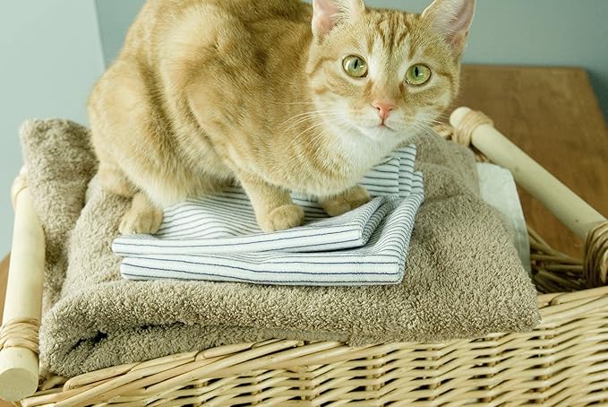 Purecosheet - Reusable Dryer Sheets | Cost effective (500+ loads), Chemical Free & Vegan Dryer Sheet | Safe For Infants & Allergy/Eczema Sufferers | Hypoallergenic | 2 Count