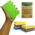 Compressed Cellulose Sponges - 32 Pack Natural Pop Up Dish Sponge for Kitchen - Compostable Plant-Based Cleaning Sponges Bulk – Non Scratch Natural Sponge for Dishes & Household Cleaning