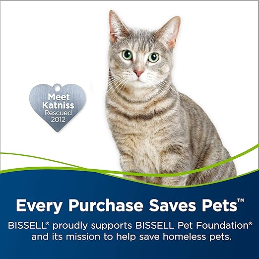 Bissell Little Green Pro Commercial Spot Cleaner BGSS1481 & BISSELL Professional Pet Urine Eliminator + Oxy Carpet Cleaning Formula, 48 oz, 1990, 48 Ounce