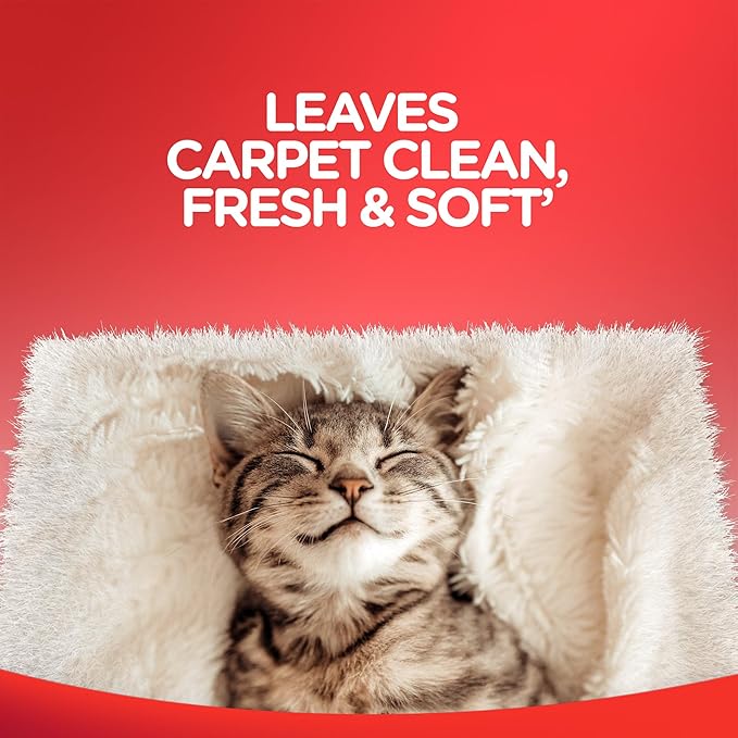 Resolve Steam Carpet Cleaner Solution Shampoo, 3.75 Lb Bottle, 2X Concentrate, Safe for Bissell, Hoover & Rug Doctor, Carpet Cleaner, Carpet Cleaner Solution
