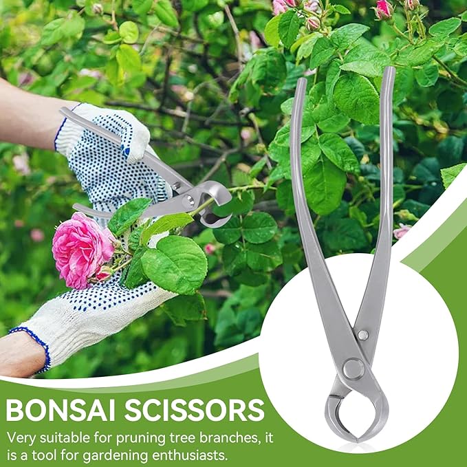 Bonsai Tools Concave Cutter Knob Cutter 180 mm BonsaiCutters Branch Cutter Bonsai Scissor Tree Clippers Pruning BonsaiTrimmer Gardening Tools