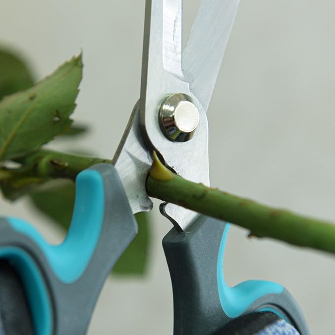 CYRUS Flower Scissors Floral Shears for Cutting Flowers,Garden Shears with Integrated Stab Remover,Florist Cutters Rose Snips,Blue
