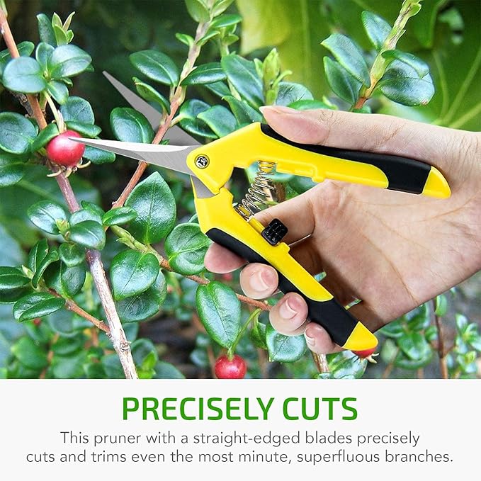 iPower 6.5 Inch Gardening Scissors Hand Pruner Pruning Shear for Gardening and Trimming, Heavy-Duty, Ultra Sharp Stainless Steel, Yellow, 6-Pack