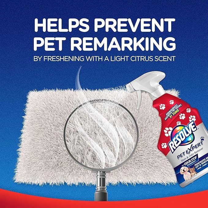 Resolve® - Spot & Stain Carpet Cleaner 32 oz. + Pet Expert Stain & Odor Remover 22 oz