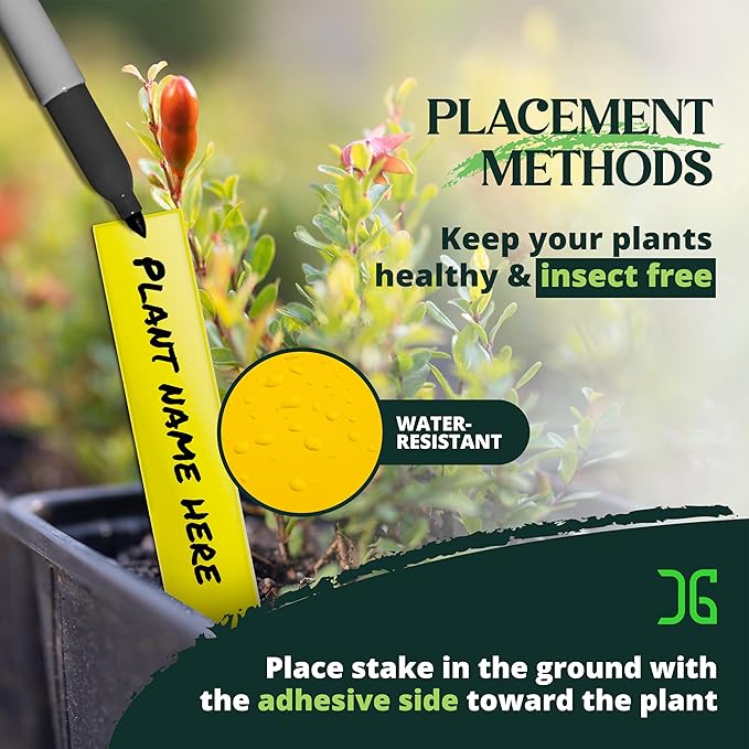 Catchmaster Dual Action Plant Labels 100 PK, Sticky Insect Trap Plant Stakes, for Live Plants Indoor Outdoor, Fruit Fly Trap, Glue Traps for Home, Farm, Garden, Hydroponics & Greenhouse, Pest Control