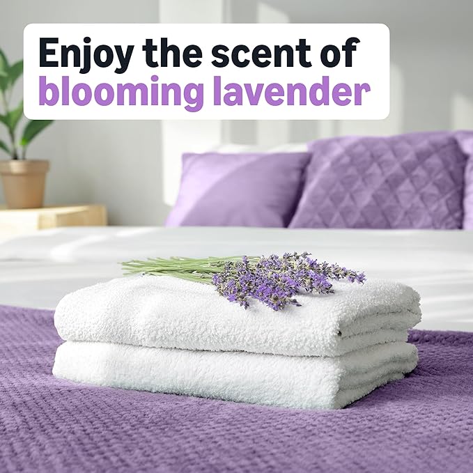 Amazon Basics Dryer Sheets, Blooming Lavender, Laundry Fabric Softener, 160 Count