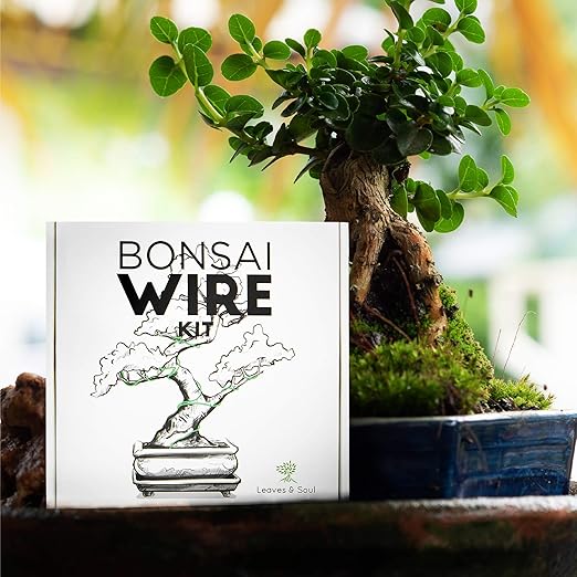 Leaves and Soul Tree Training Wire Kit – 5 Rolls Aluminum Alloy Bonsai Wire (160ft) with Cutter & Canvas Bag | Bonsai Tools, Plant Training Accessories, Bonsai Tree Kit for Beginners & Professionals