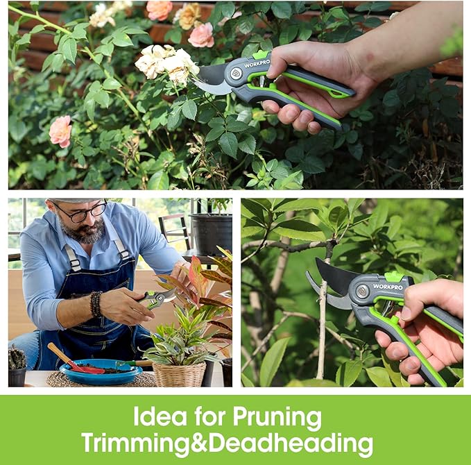 WORKPRO Bypass Pruning Shears, 8’’ Stainless Steel Gardening Hand Pruner, Professional Garden Trimming Scissors with Sharp SK5 Steel Blades, Ideal Garden Tool,Green