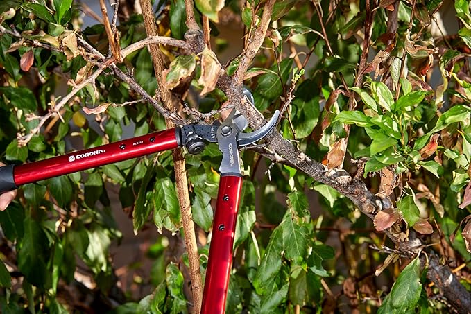 Corona AL 8350 MAX Forged ClassicCUT Bypass Loppers, 22 Inch, Red