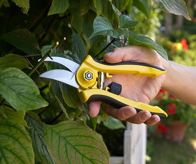 Dramm 18041 ColorPoint Bypass Pruner with Stainless Steel Blade, Red
