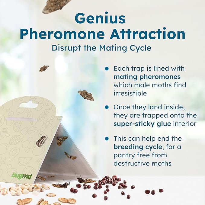 BugMD Pantry Moth Traps (6-Pack) – Pheromone-Based Sticky Glue Traps, Non-Toxic, Kills Indian Meal Moths – Kitchen & Food-Storage Safe - Original