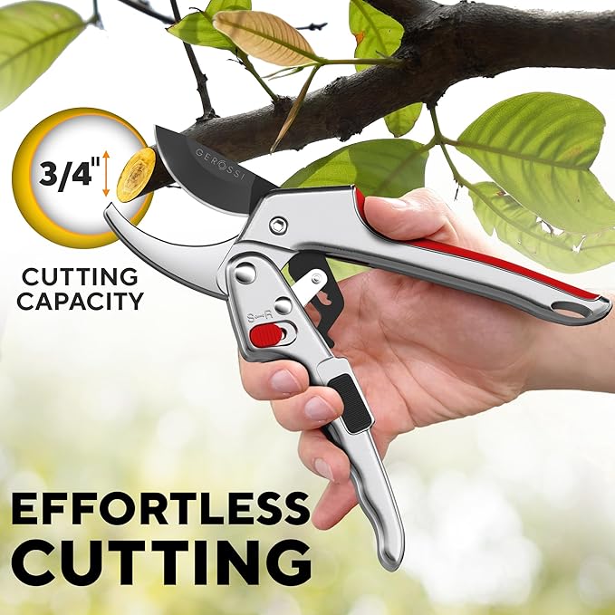 Ratchet Pruning Shears for Gardening Heavy Duty - Increases Cutting Power 3x - Perfect Ratchet Pruners for Weak Hands & Arthritis - 8” Anvil Garden Clippers - Sharp Blade for Effortless Cutting - Red