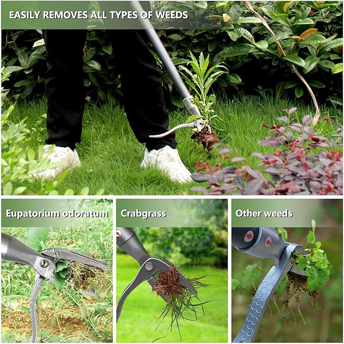 Weeder, 52" Long Metal Handle Weed Puller Tool with 4 Stainless Steel Claw, Weeding Tool for Lawn and Garden, Easily Remove Weeds Without Bending, Pulling, or Kneeling.