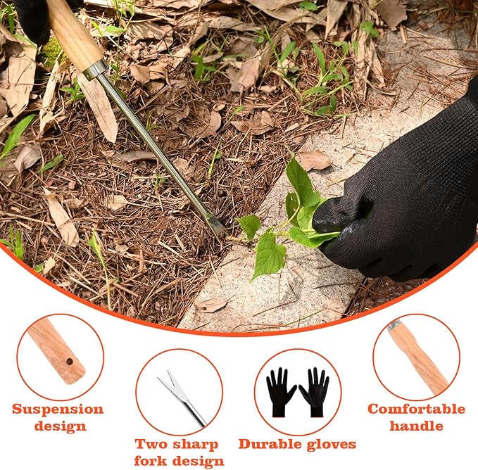 Wooden Handle Dandelion Weeder Tool - Polished Stainless Steel Dual - Forked Head Dandelion Weeder Puller Tool for Planting, Weeding, Flower & Vegetable Care with Nylon Nitrile Coated Gloves