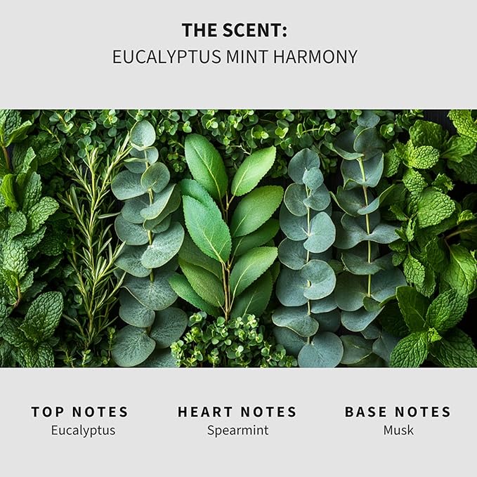 Lapew Eucalyptus Mint Scented Mop Soap - Luxury Floor Cleaner Concentrate for Mopping Tile, Laminate, Vinyl & Hardwood | Streak-Free, Low-Foam | 36 oz