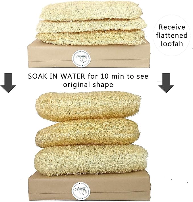 Natural Whole Loofah Sponge (Pack 3) - Exfoliating Body for Bath or Dish Scrubber for Kitchen - 100% Biodegradable Compostable, Dishwashing Scouring Pad, Zero Waste