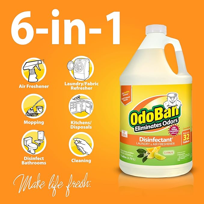 OdoBan Ready-to-Use Disinfectant and Odor Eliminator, Made in the USA, Citrus Scent, Set of 3, 2 Spray Bottles, 32 Ounces Each and 1 Gallon Concentrate