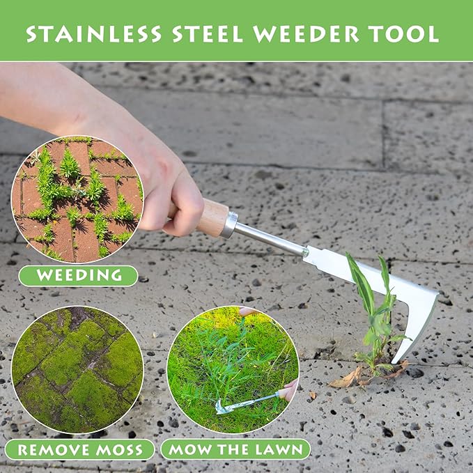 Crack Weeder, 12" Stainless Steel Crevice Weeding Tool with Wood Handle, L-Shaped Side-Walk Weed Puller Spatula, for Garden Lawn Yard Patio Terrace Paving Moss, Small Gardening Tool