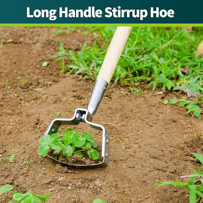 Berry&Bird 63''Garden Weeder Hoe Stainless Steel Hula Weeding Hoe, Action Stirrup Hoe for Gardening Loop Scuffle Hoe with Wooden Long Handle Hand Weeder Tool Push Pull Dutch Hoe Heavy Duty