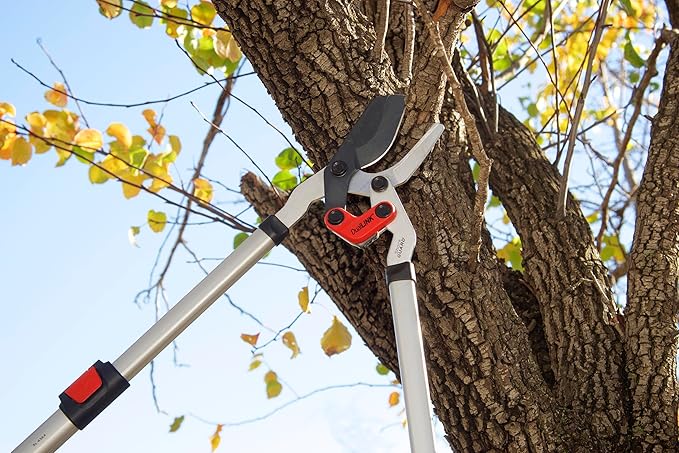 Corona Tools | Branch Cutter DualLINK Extendable Bypass Loppers | Tree Trimmer Cuts Branches up to 1 ¾-inches in Diameter | Handles Extend up to 37 ½inches | SL 4364, Silver