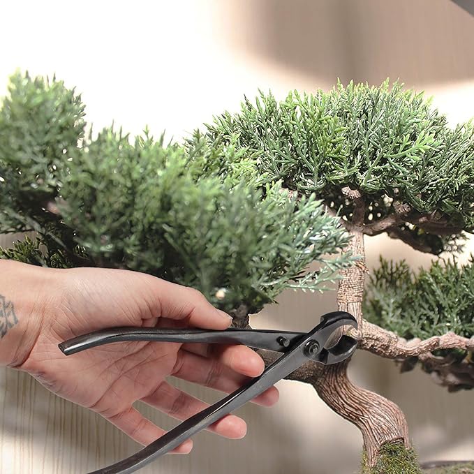 BambooMN Bonsai Basics Set - 8" Knob Cutter and 7.2" Trimming Shear - 30 Sets