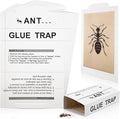 Qualirey Ant Traps Indoor, Upgraded Peanut Butter Scented, Larger 10pcs Ant Spider Cockroach Centipede and Crawling Insect Trap, Pet Safe Insect Traps for Home, Kitchen, Garage