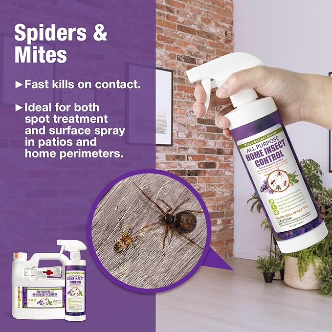 EcoVenger All Purpose Home Insect Control 1/2 Gallon with Trigger Sprayer, for Fleas, Fruit Flies, Gnats, Moths, Roaches, Spiders, Fast Kill