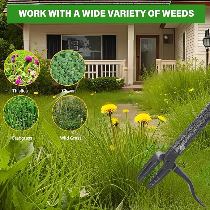 Weed Puller Tool, 4 Claw Stand Up Manual Weeder, Heavy Duty Weeding Tool with 60 inch Long Handle,Steel Head,Uprooting Dandelion Removal Gardening Tools for Farm Lawn Grass Removal