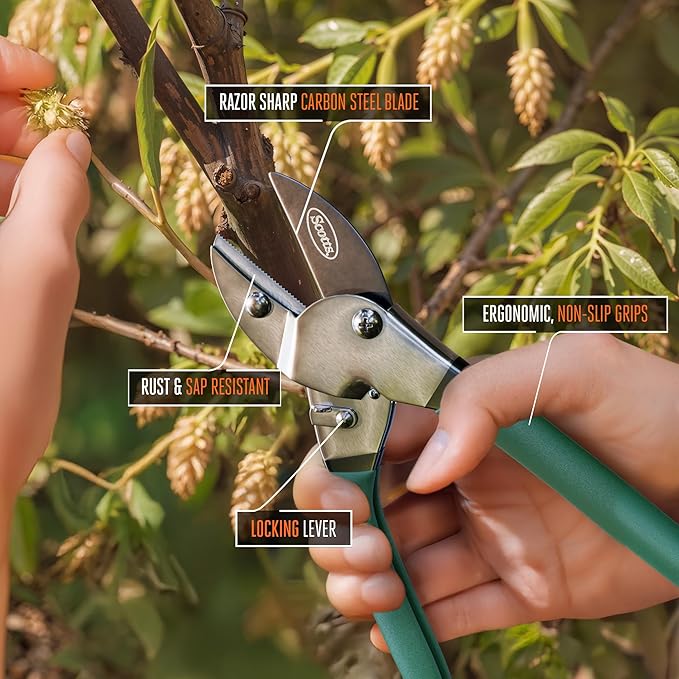 Scotts 8 in. Anvil Pruning Shears – 1/2 in. Cutting Capacity, Heavy-Duty Garden Pruner for Dry Stems and Dead Wood, Sap Resistant – Comfort Grip with Sharp Carbon Steel Blade for Yard and Garden Use