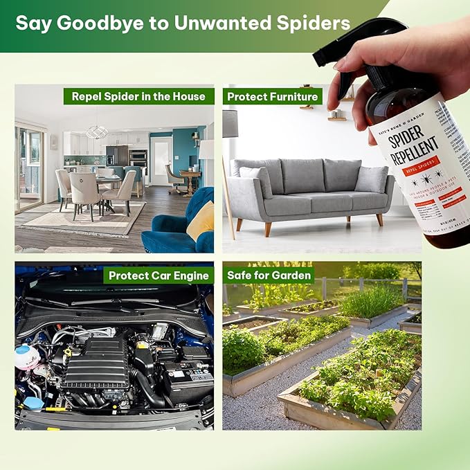 Kate's Home & Garden Spider Repellent Indoor. All Natural Peppermint Oil Spray for Spiders & Outdoor (16oz, Non Toxic Pesticide & Insecticide, Pet Safe)