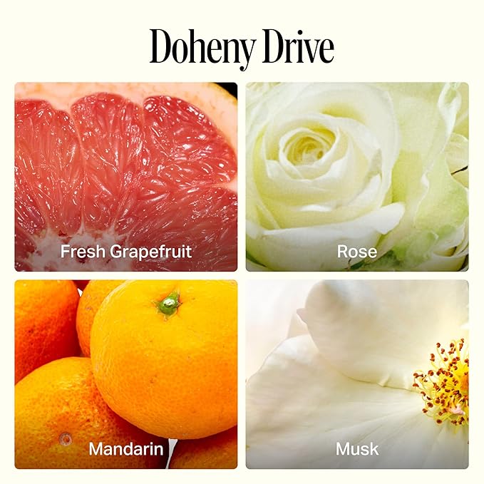 Preston Lane Luxury All-Purpose Cleaner, Doheny Drive Scent | Bio-Based Multi-Surface Spray | Streak-Free Finish, Lifts Dirt, Smudges & Grease | Vegan & Cruelty-Free