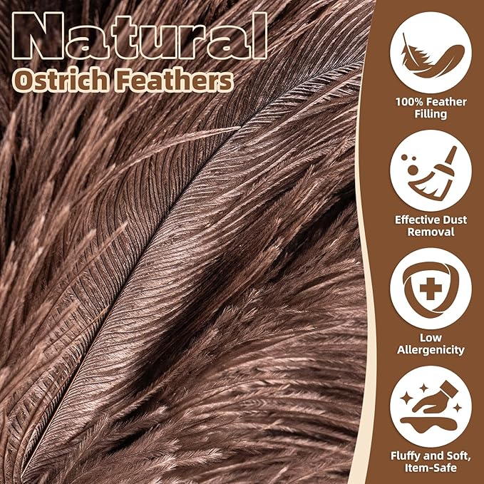 2 Pack Ostrich Feather Dusters with Wooden Handle, 13.5 inch Natural Fluffy Feather Dusters for Dusting Home, Car, Delicate Surfaces, Reusable Soft Cleaning Tools for Ledges, Blinds