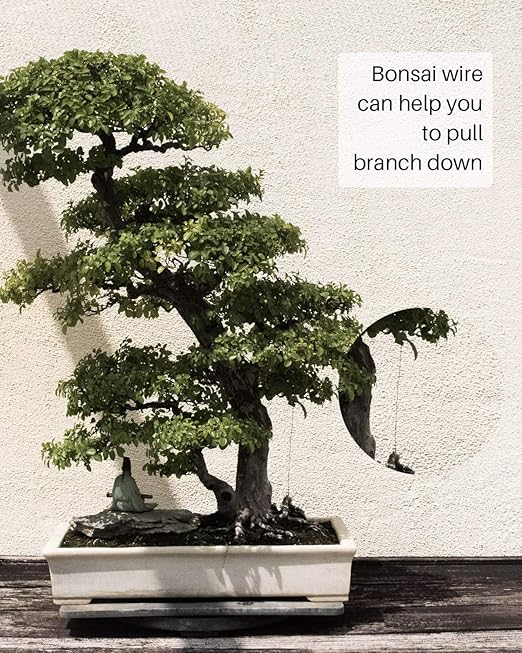 5Pcs Bonsai Wire and Bonsai Tool Kit, Total 164 Feet Bonsai Tree Wire for Bonzai Trees Indoor, 3 Size of 1-mm, 1.5-mm, 2-mm Aluminum