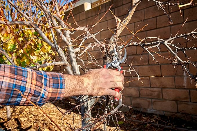 Corona Tools DualCUT Forged Steel Bypass Hand Pruner – 1″ Cutting Capacity Garden Pruning Shears for Branch & Stem Cutting