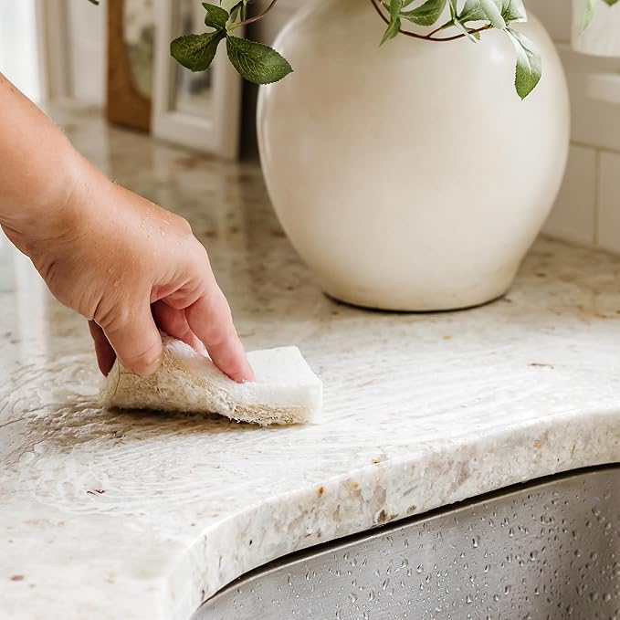 Full Circle Nutcase, Plant-Based Scrubber Sponges – Pack of 6 – 3 Walnut & 3 Coconut – Powerful Natural Sponges Made with Plants & Recycled Materials, Safe for Nonstick