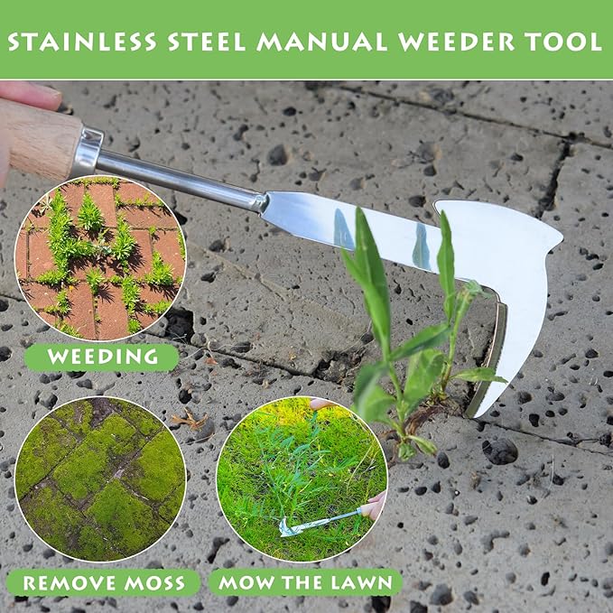 Crack Weeder, 12" Stainless Steel Crevice Weeding Tool with Wood Handle, Axe-Shaped Side-Walk Weed Puller Spatula, for Garden Lawn Yard Patio Terrace Paving Moss, Small Gardening Tool